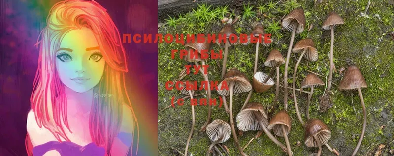 закладка  OMG tor  площадка какой сайт  Алупка  Псилоцибиновые грибы MAGIC MUSHROOMS 